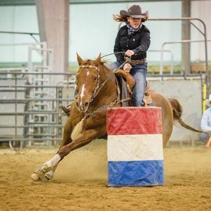 Meet your Posher, Dawn